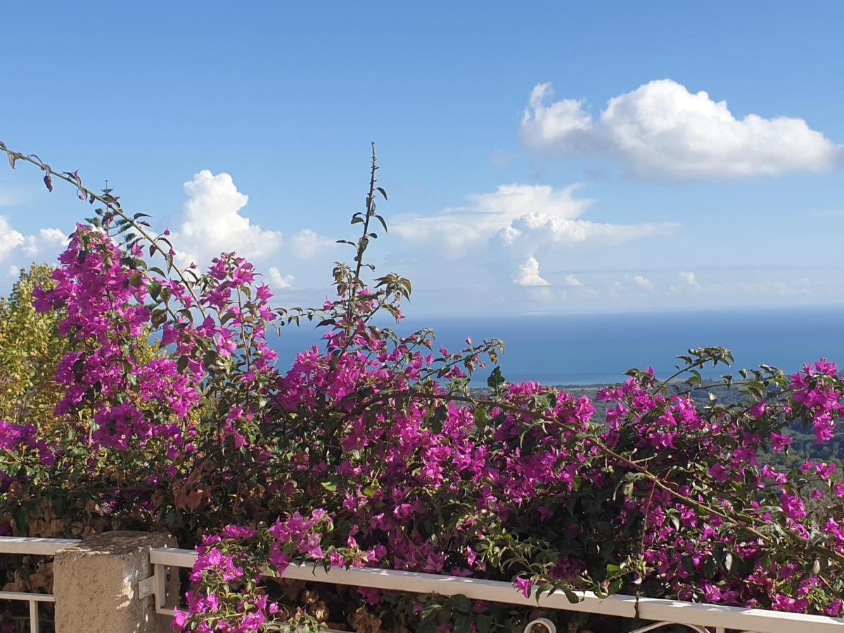 Appartement A Caserella Entierement Renove Avec Terrasse Et Vue Panoramique Sur Mer Valle-di-Campoloro ภายนอก รูปภาพ